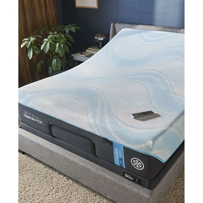 Tempur-Pedic Ergo Base