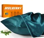 100% Mulberry Silk Pillowcase for Hair and Skin, 22 Momme Natural Silk Pillow Case with Zipper, Both Sided Pure Silk Pillow Cover for Women Mom Men (Fog Blue, Queen 20''×30'')