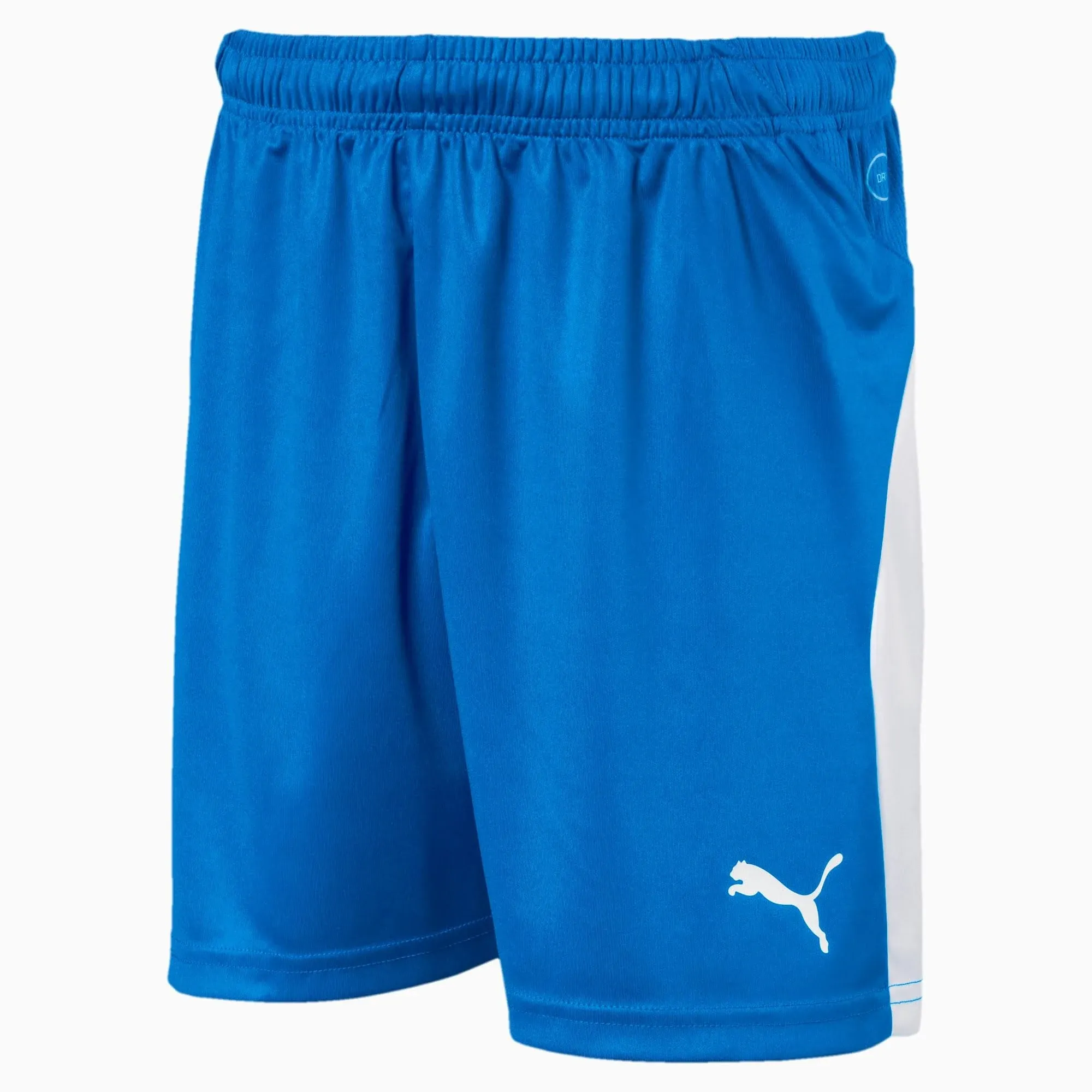 Puma Youth Liga Shorts