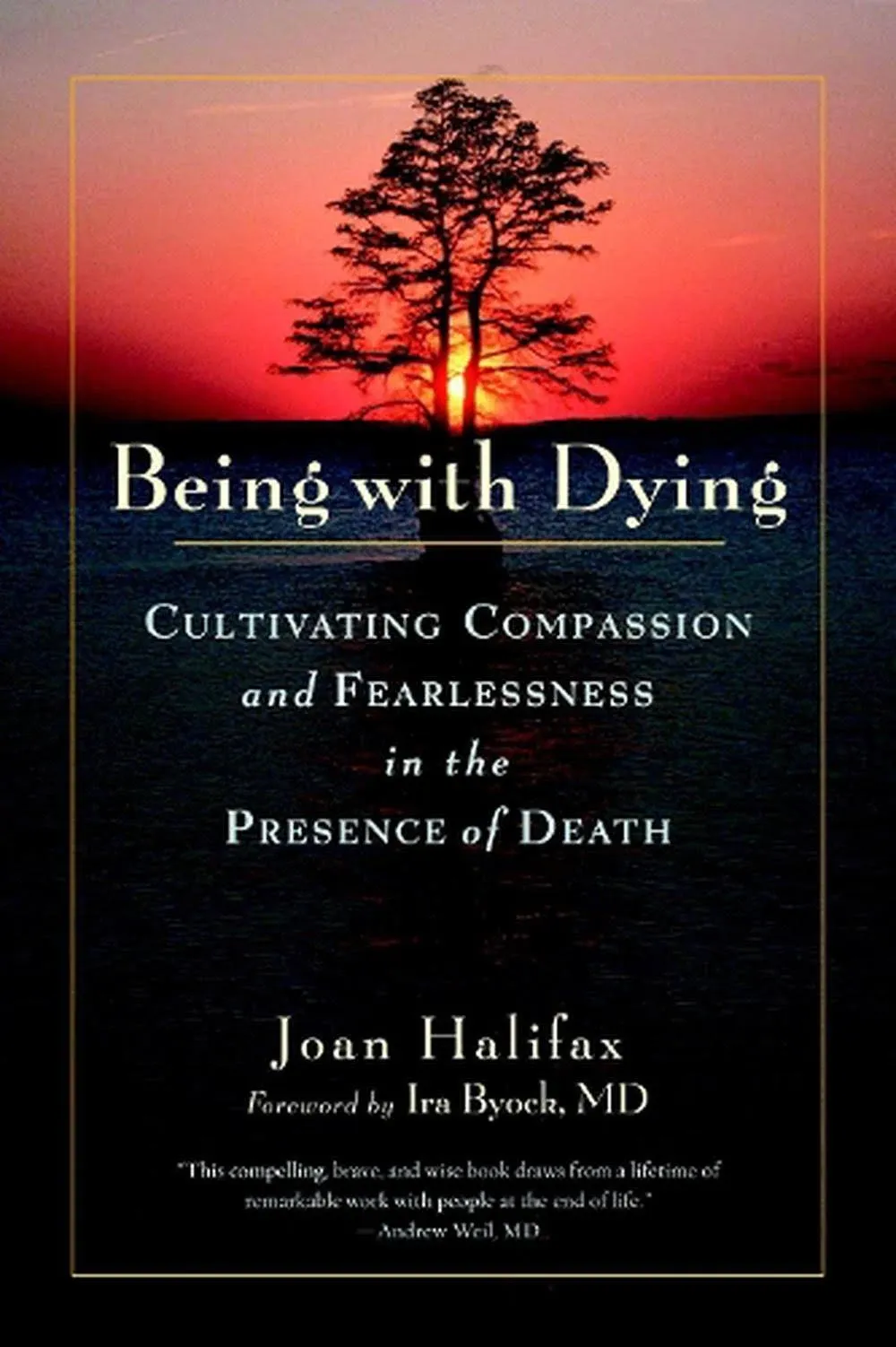 Being With Dying - Cultivating Compassion And Fearlessness in The Presence of Death