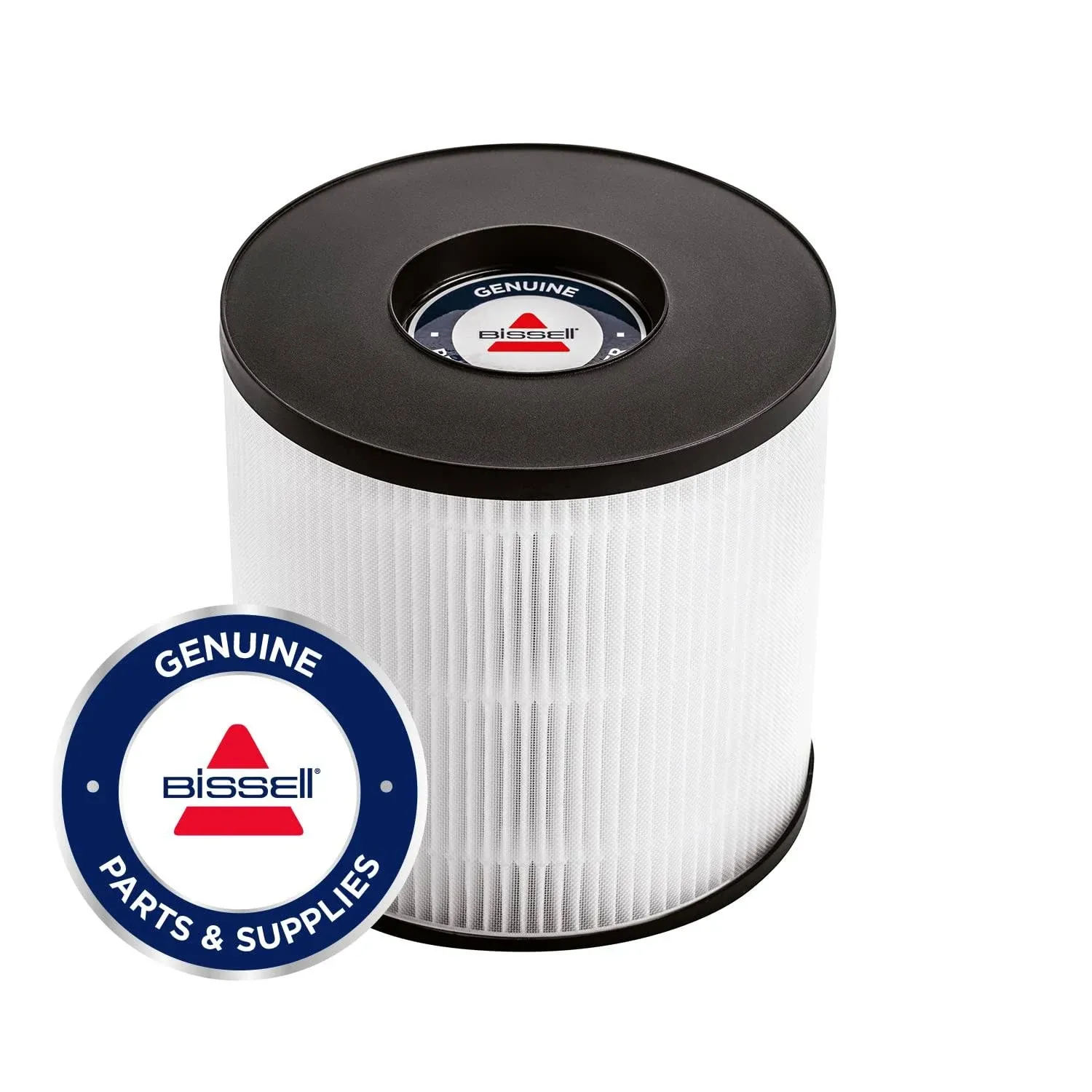 BISSELL® MYair™ Pro Replacement HEPA and Carbon Filter, 3069