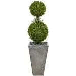 4ft. Double Boxwood Topiary Tree in Cement Planter