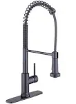 Paulina Single-Handle Spring Neck Pull Down Sprayer Kitchen Faucet in Matte Black