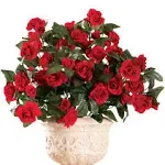 Collections Etc Artificial Floral Rose Bushes - Set of 3, Maintenance Free, Red ...