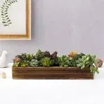 MyGift Artificial Succulent Centerpiece, 15.75 Inch Faux Succulents Arrangement Plants in Rustic Burnt Wood Rectangular Planter Box