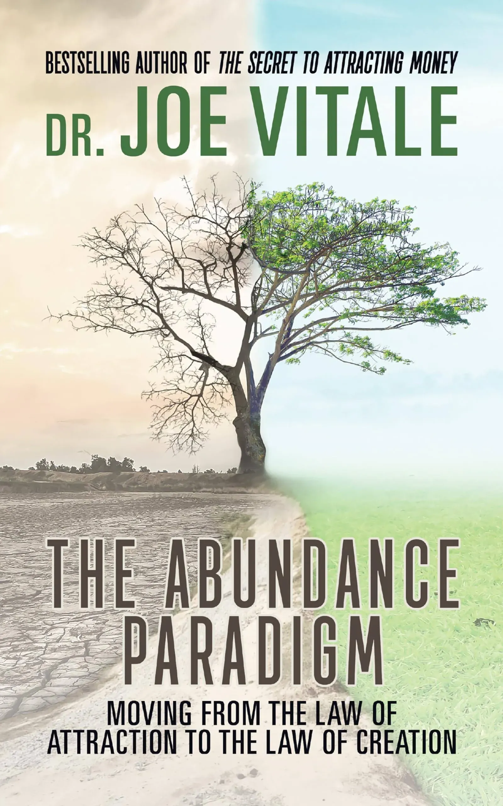 The Abundance Paradigm: Moving from the Law of Attraction to the Law of Creation [Book]