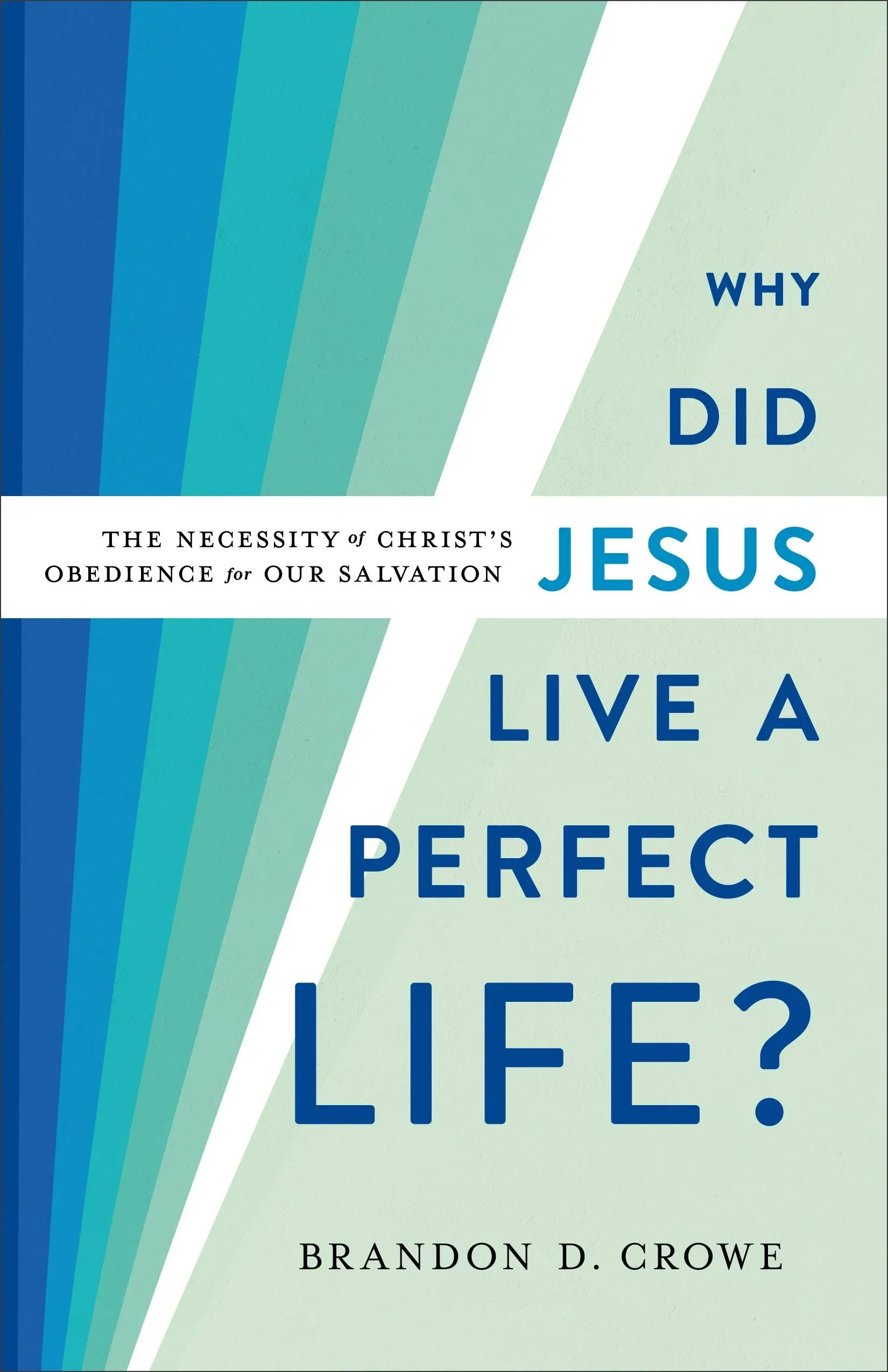 Why Did Jesus Live a Perfect Life?: The Necessity of Christ's Obedience for Our ...