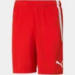 Puma Men's Teamliga Shorts