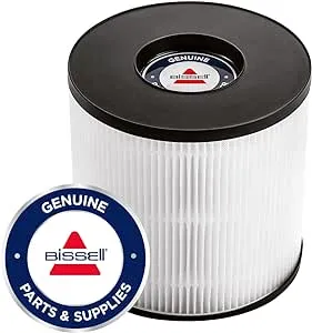 BISSELL® MYair™ Pro Replacement HEPA and Carbon Filter, 3069