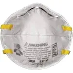 3M Particulate Respirator N95