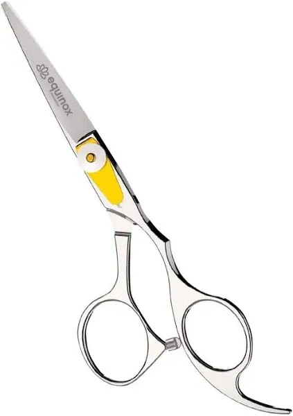 Equinox Professional Hair Scissors - 6.5 Inch (Pack of 1), Silver 