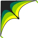 Mint's Colorful Life Delta Kite for Kids & Adults, Extremely Easy to Fly Kite, Best Kite for Beginner Black Green