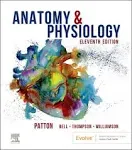 Anatomy & Physiology [Book]