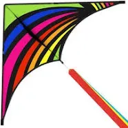 Mint's Colorful Life Delta Kite for Kids & Adults Extremely Easy to Fly Kite