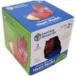 Learning Resources Soft Foam Cross-Section Human Heart Model - 2 Pieces