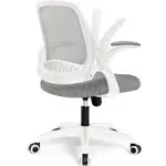 Neo Chair Adjustable Office Chair with Flip-Up Padded Armrest Ergonomic Back Support Gray