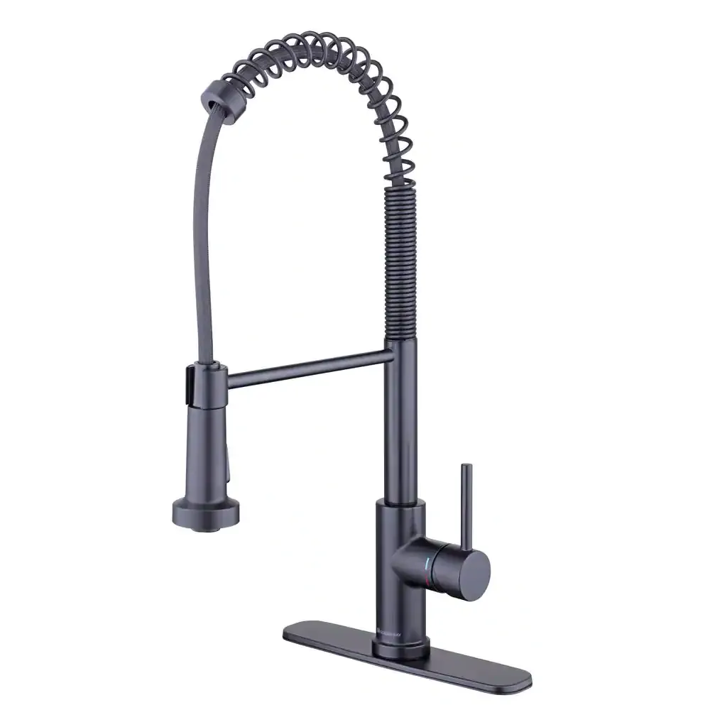 Glacier Bay Paulina Single-Handle Spring Neck Pull Down Sprayer Kitchen Faucet