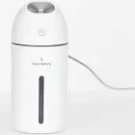 Hey Dewy Portable Facial Humidifier