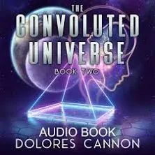 The Convoluted Universe (Paperback or Softback)