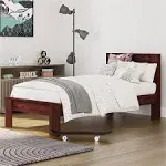 DHP Jaymee Kids Twin Platform Bed Frame in Solid Wood in Nutmeg