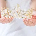 Brishow Crystal Butterfly Wedding Crowns Gold Rhinestone Tiaras Flower Wedding Crowns and Tiara Queen Hair Accessories for Women and Girls