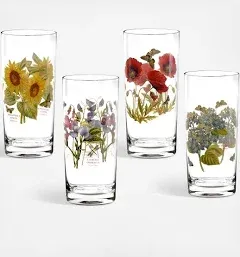 Portmeirion Botanic Garden Highball Glasses (Set of 4)