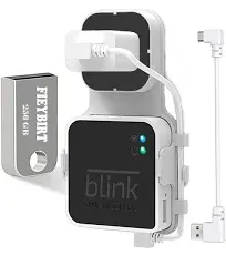 USB Flash Drive and Outlet Mount for Blink Sync Module 2: 256GB