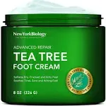 New York Biology Tea Tree Oil Foot Cream for Dry Cracked Feet, Athletes Foot, Nail Fungus, Jock Itch, Ringworm, Cracked Heels and Itchy Skin - Foot