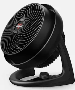 610 8.98 in. Whole Room Air Circulator Fan with 3-Speeds