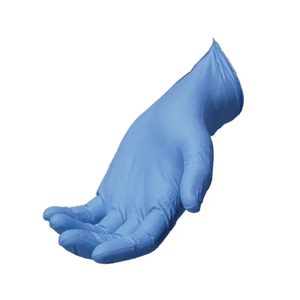 HDX Disposable Nitrile Gloves