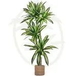 Maia Shop Artificial Dracaena Tree 5.5 Feet Tall Faux Silk Tropical Home Decoration with Realistic Leaves and Trunks Ideal for Home and Office, 67 in.