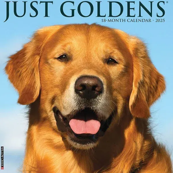 Willow Creek Press Goldens 2025 Wall Calendar