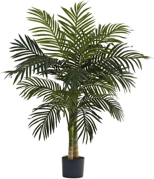 Nearly Natural 5289 6.5ft. Golden Cane Palm Silk Tree,Green & Nearly Natural 5357 4ft. Golden Cane Palm Tree,Green & Nearly Natural 48in. Dracaena Silk (Real Touch) Artificial Plant, 48", Green