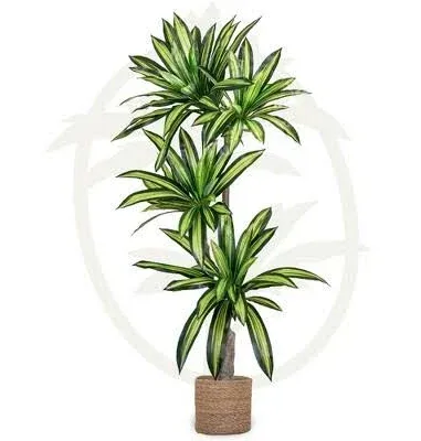 Maia Shop Dracaena Artificial Tree