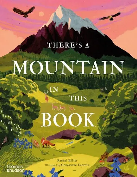 There's a Mountain in This Book