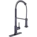 Single-Handle Spring Neck Pull Down Sprayer Kitchen Faucet - Missing Hardware