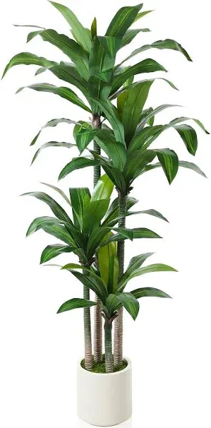 Artificial Dracaena Tree 6ft, Tall Fake Dracaena Plants with White Planter, F...