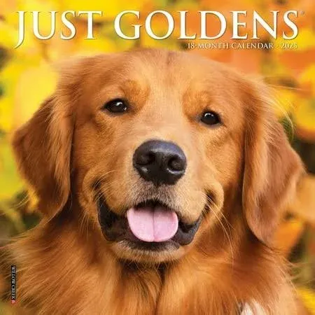 Just Goldens 2025 Mini Wall Calendar