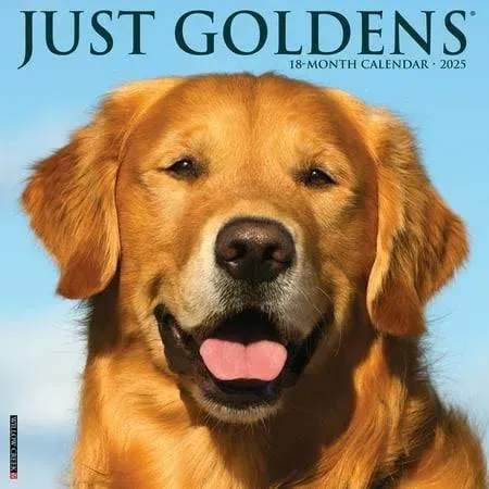 Willow Creek Press Goldens Monthly Mini 2025 Wall Calendar (7" x 7")