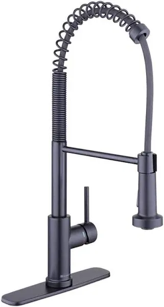 Glacier Bay Paulina 1-Handle Spring Neck Pull Down Sprayer Kitchen Faucet Black