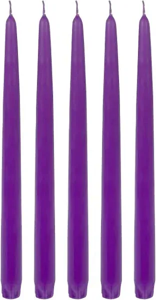 Latitude Run Unscented Taper Candle Set of 12