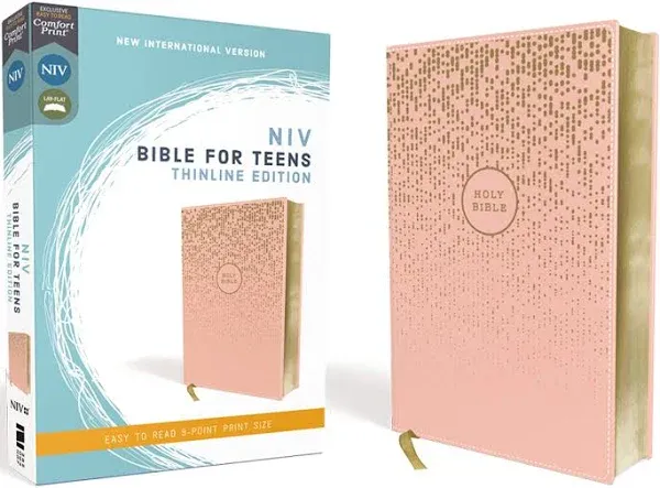 NIV Bible for Teens Thinline Red Letter Edition