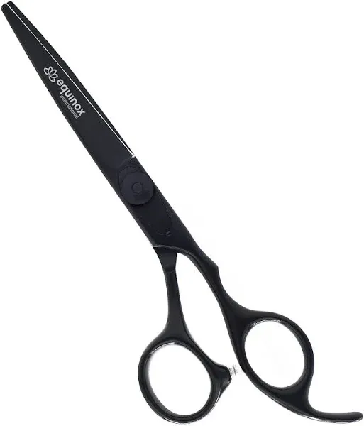 Equinox Razor Edge Series Professional Hair Scissors - 6.5” 6.5 Inch Silver