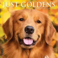 Just Goldens 2025 Mini Wall Calendar