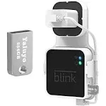 Blink Sync Module 2 256GB USB Flash Drive