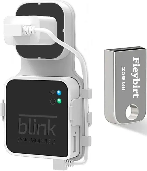 256GB Blink USB Flash Drive &amp; Outlet Wall Mount for Blink Sync Module 2, Save 