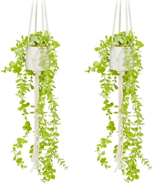 Juvale 2 Pack Artificial Eucalyptus Fake Hanging Plants with Macrame Hanger and White