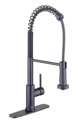 Glacier Bay Paulina Single-Handle Spring Neck Pull Down Sprayer Kitchen Faucet