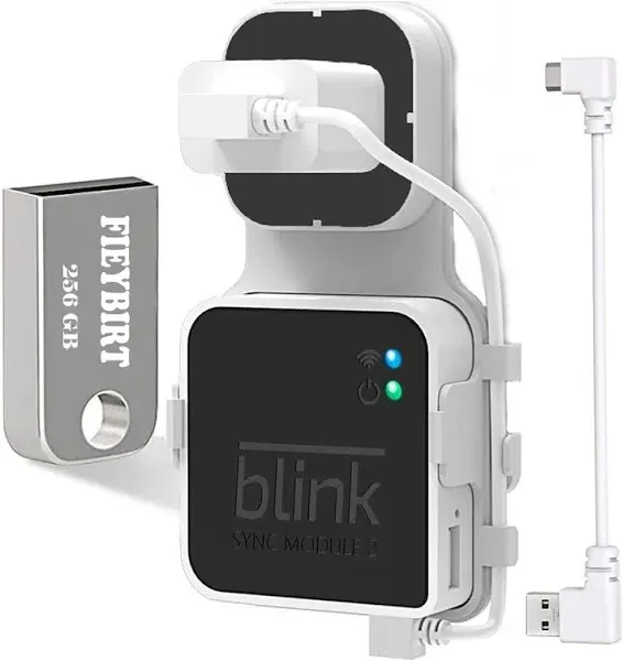 256GB Blink USB Flash Drive and Sync Module 2 Mount, Space Saving and Easy Move