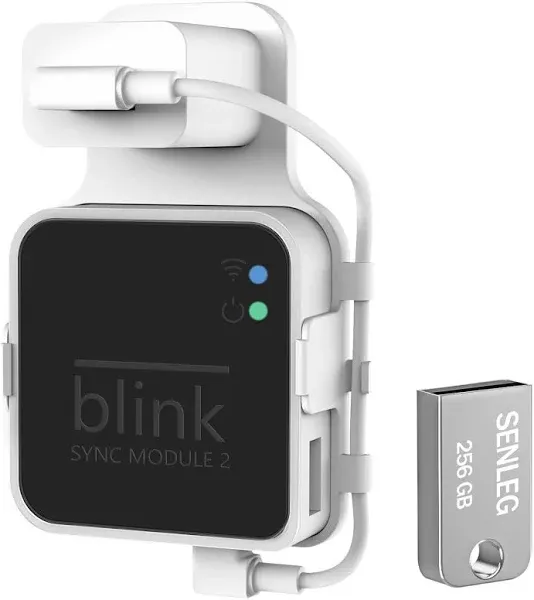 Blink 256GB USB Flash Drive with Blink Sync Module 2 Mount